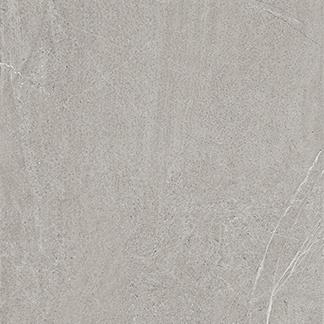 limestone---oyster