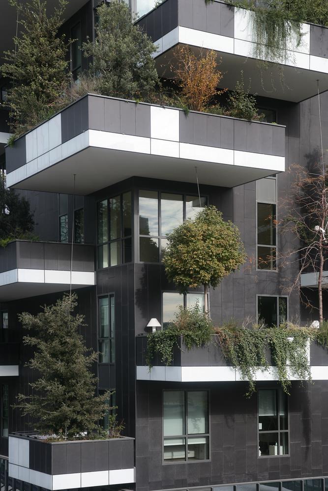 Bosco verticale: Foto 17